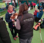 MilaVet a fianco di Power Dog T.C. alla gara regionale di selezione del 1° Grand Prix FIDASC