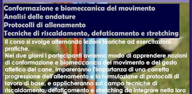 Dynamic Dog Training – Warm-up, cool-down e stretching per il cane atleta