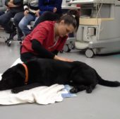 Mila Speciani all’Università di Medicina Veterinaria di Vienna per il seminario MFR