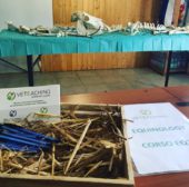 Mila Speciani con VeTeaching per le attività di formazione