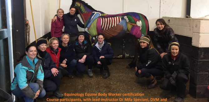 Mila Speciani docente al Writtle College per il corso Equine Body Work di Equinenergy