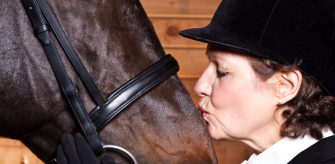 Suspendisse arcu nisl