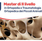 La dottoressa Mila Speciani relatrice al master di II livello Unicam